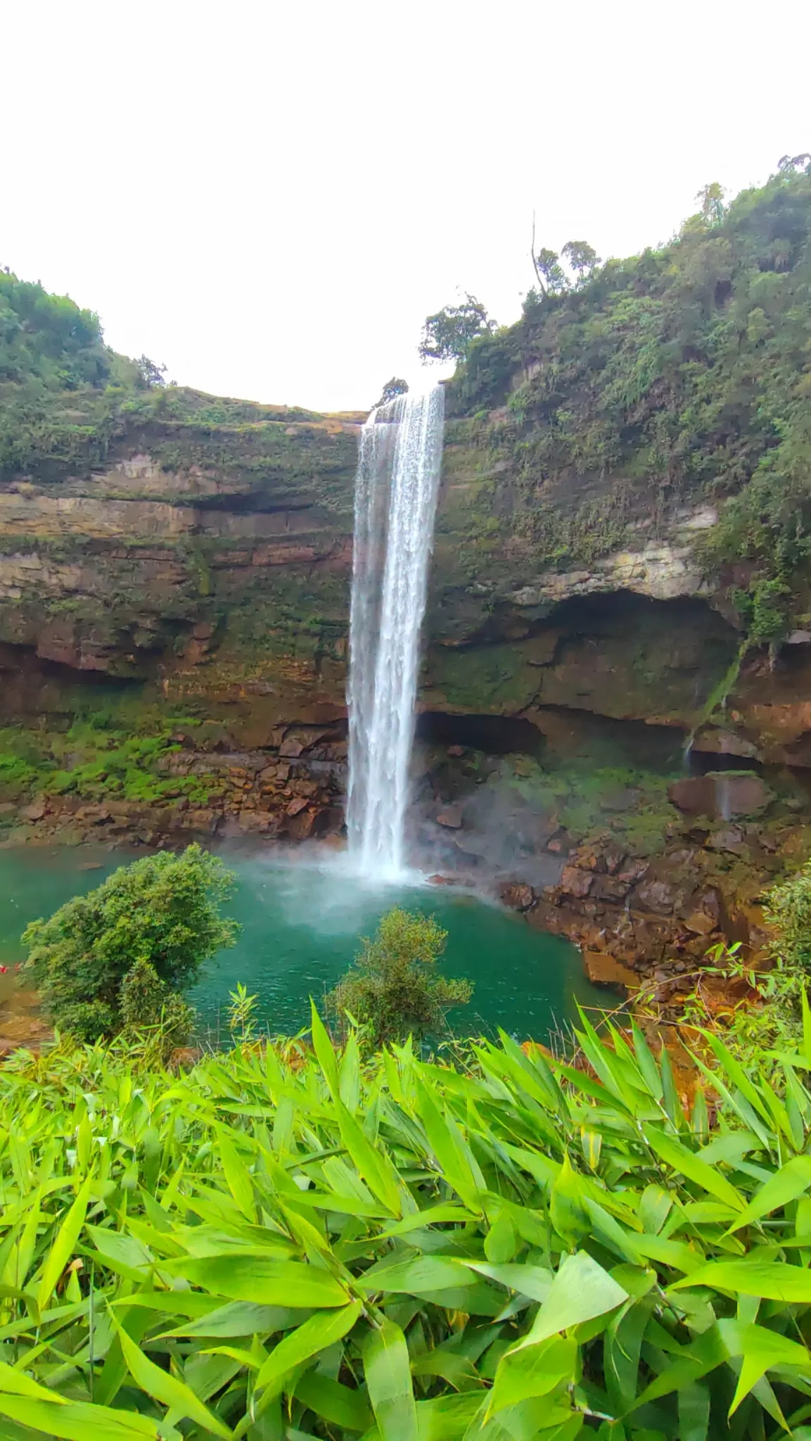 Photo of Phe Phe Fall By RaJesh Negi
