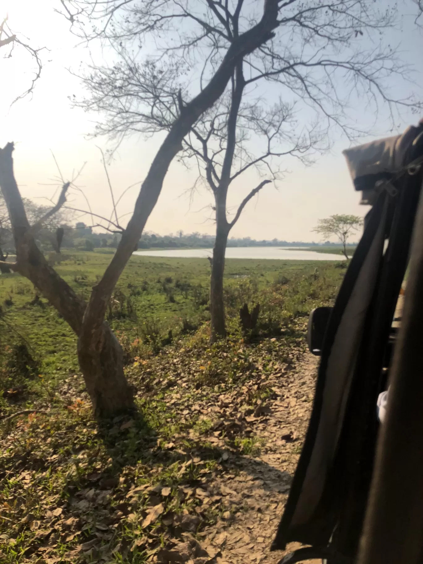 Photo of Kaziranga National Park By Hemlata Choudhary