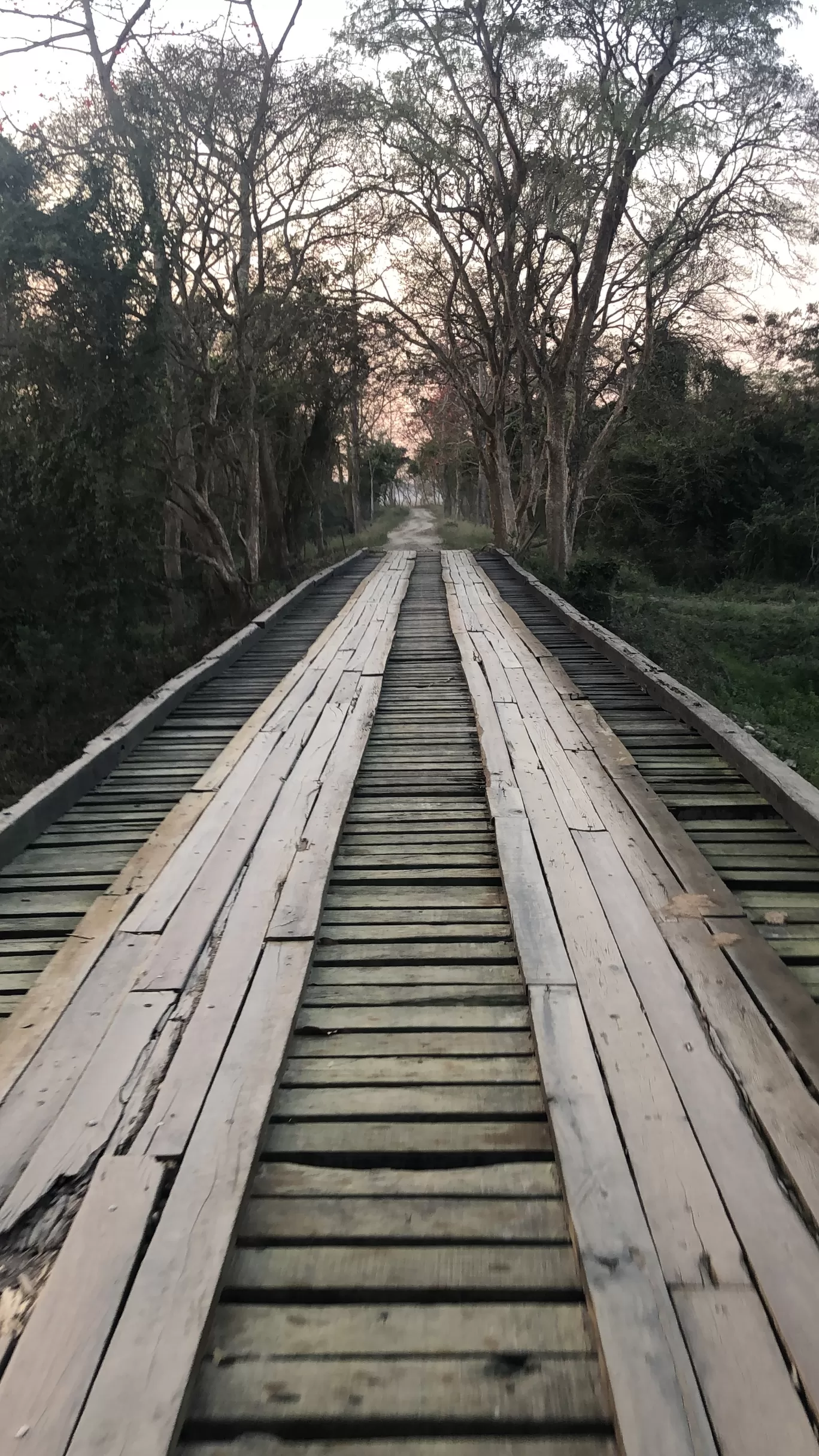Photo of Kaziranga National Park By Hemlata Choudhary