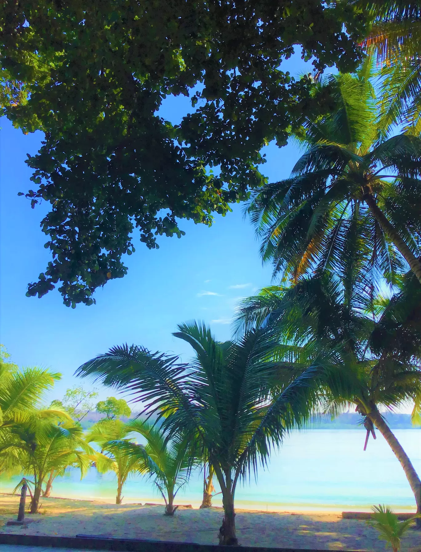 Photo of Havelock Island Beach Resort By Ajay Kumar