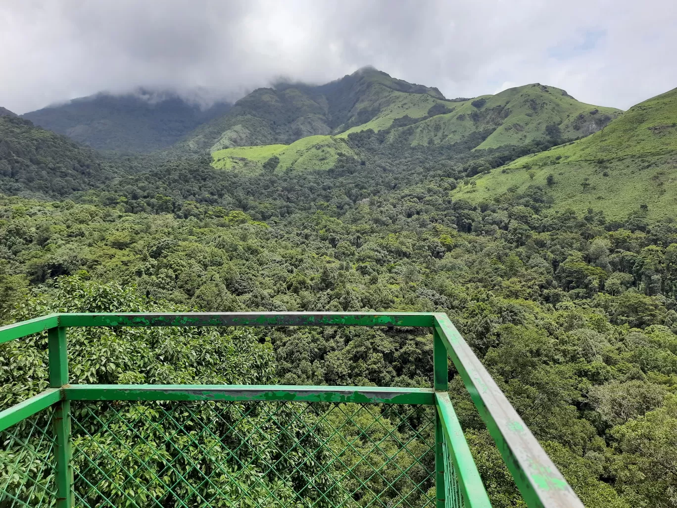 Photo of Wayanad By Mohita Asudani