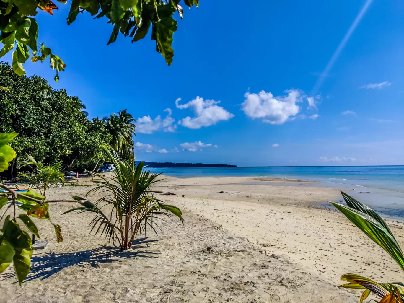 Photo of Havelock Island By Samridhi