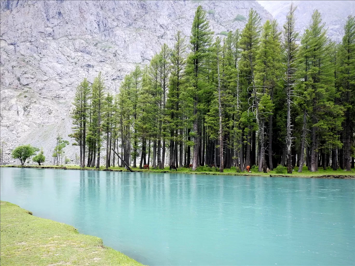 Photo of Kalam By The Traveler
