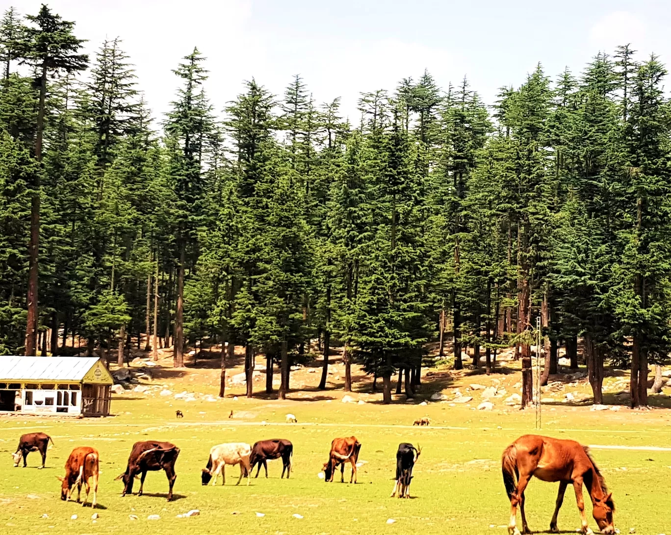 Photo of Kalam By The Traveler