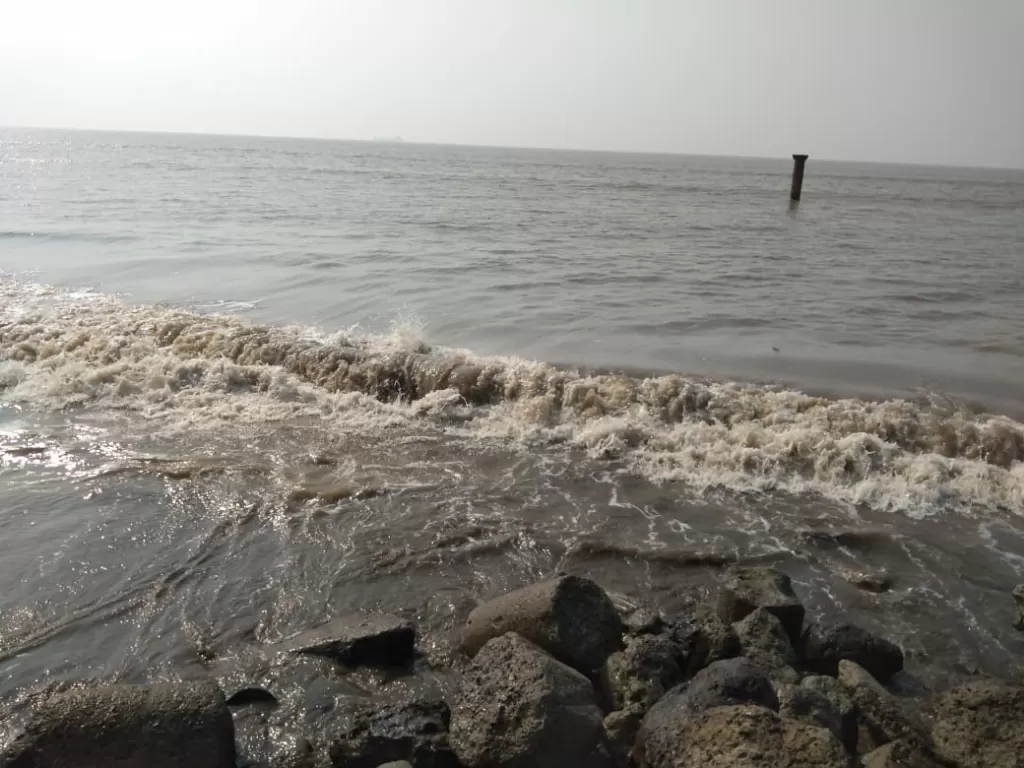 Photo of Suvali Beach By Shushant Pratap