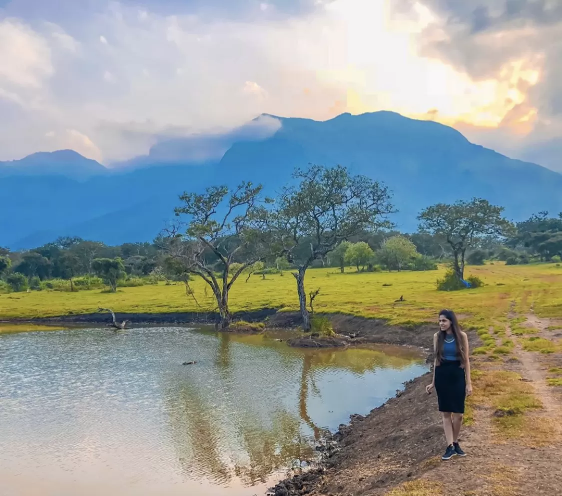 Photo of Bandipur Tiger Reserve And National Park By ApyTravelStories