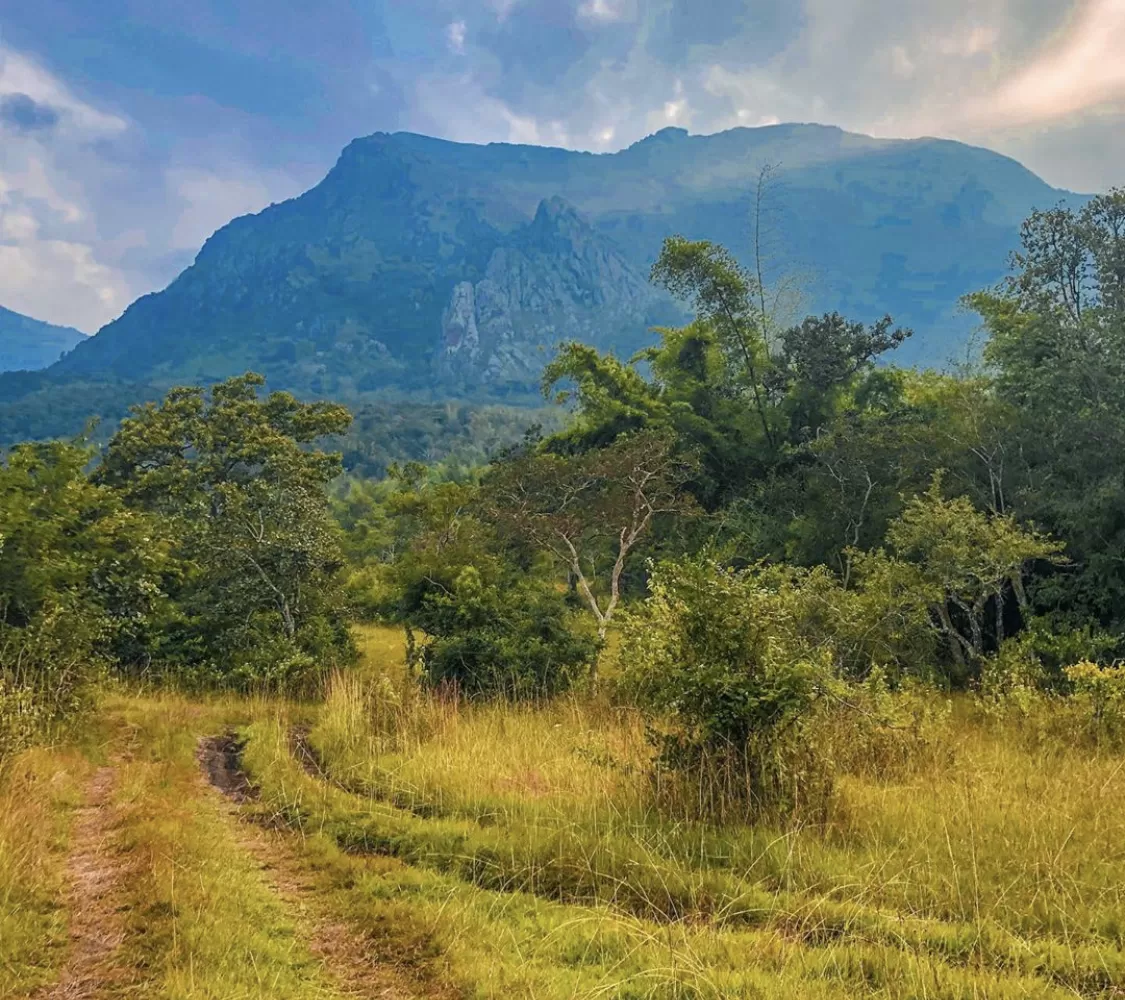 Photo of Bandipur Tiger Reserve And National Park By ApyTravelStories