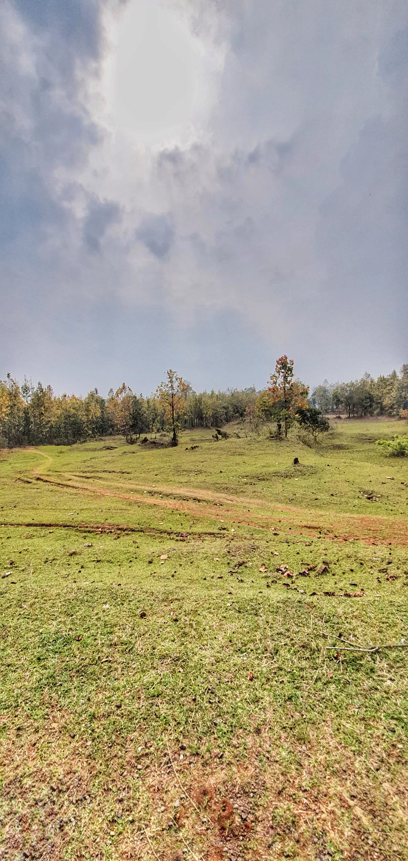 Photo of Simlipal National Park And Tiger Reserve By Deepti Patel