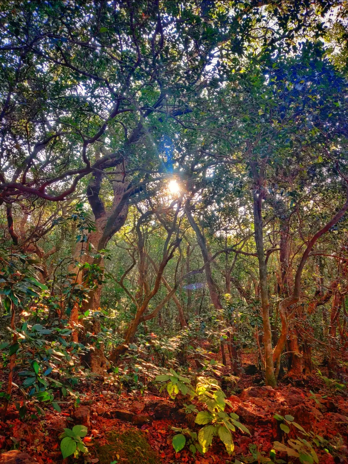 Photo of Mumbai By Swetal Parmar