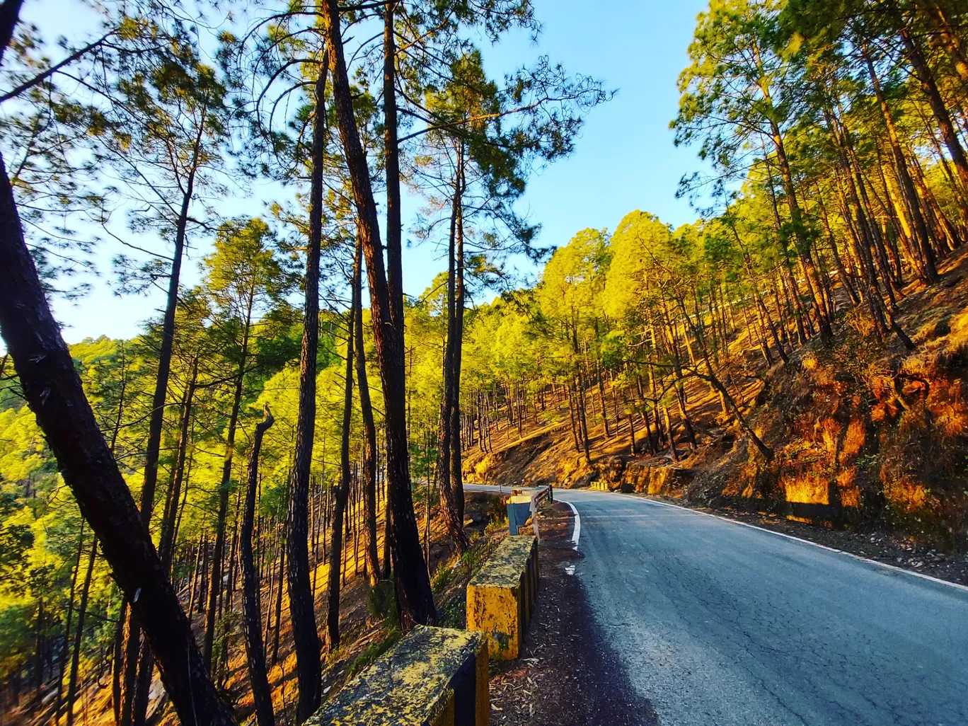 Photo of Binsar By Aditi