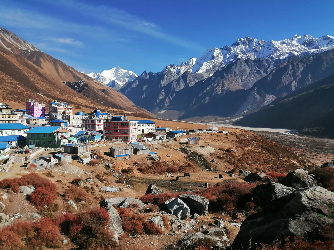 Photo of Langtang By Nepal Trek Hub
