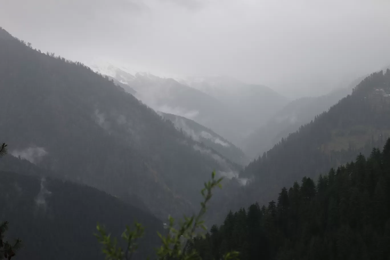 Photo of Tandi By Nisha Verma
