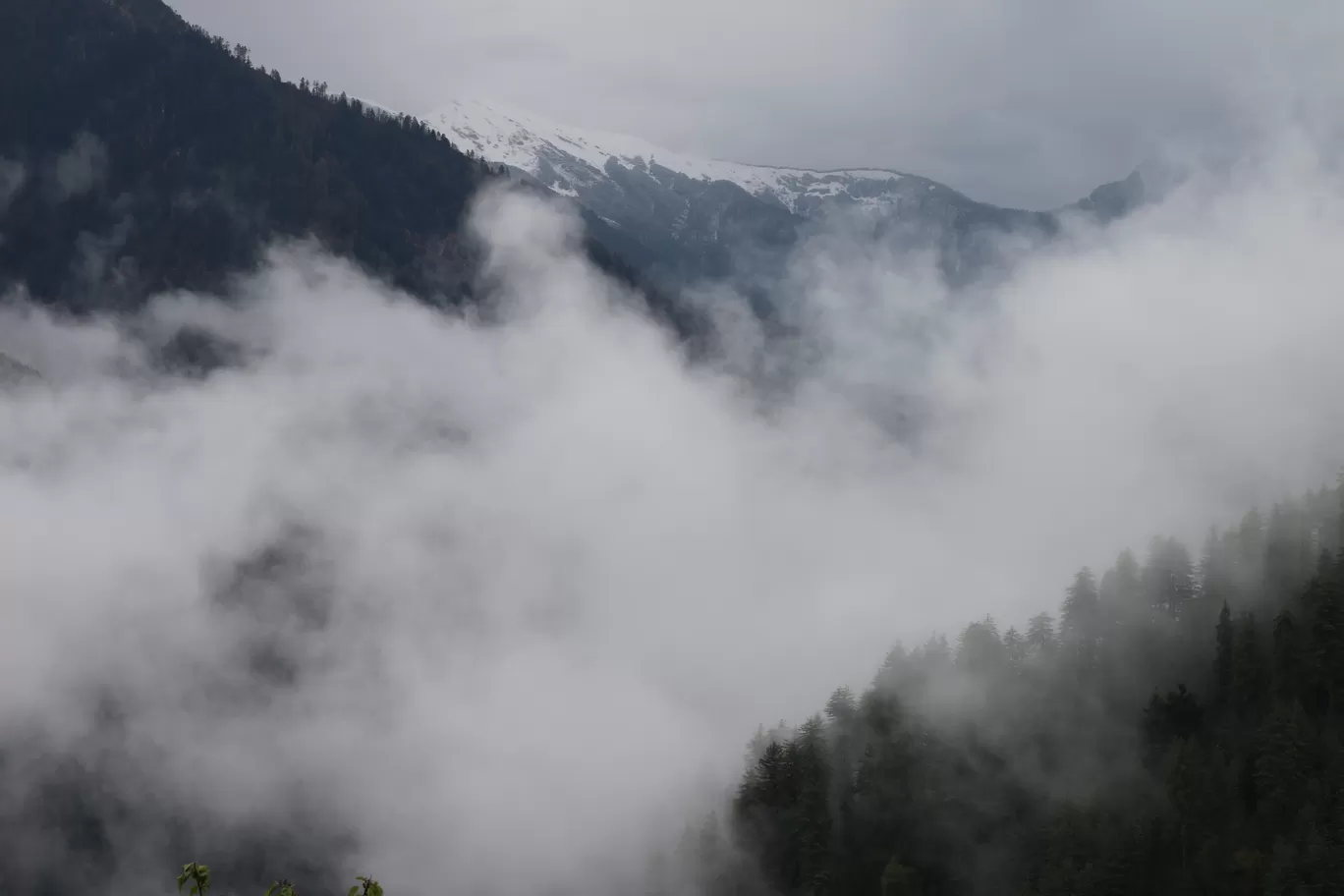 Photo of Tandi By Nisha Verma