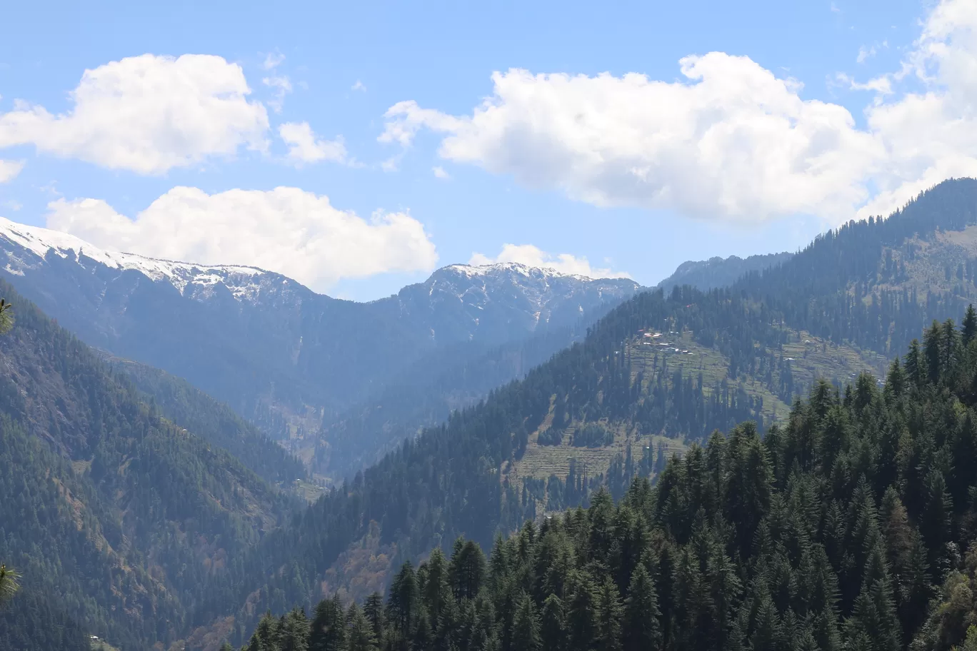 Photo of Tandi By Nisha Verma