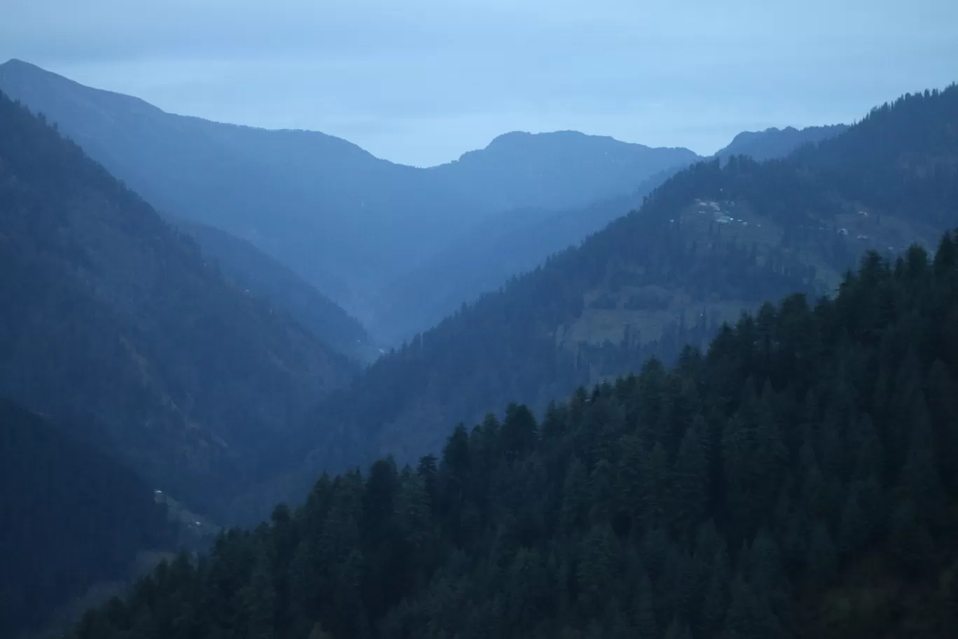Photo of Tandi By Nisha Verma