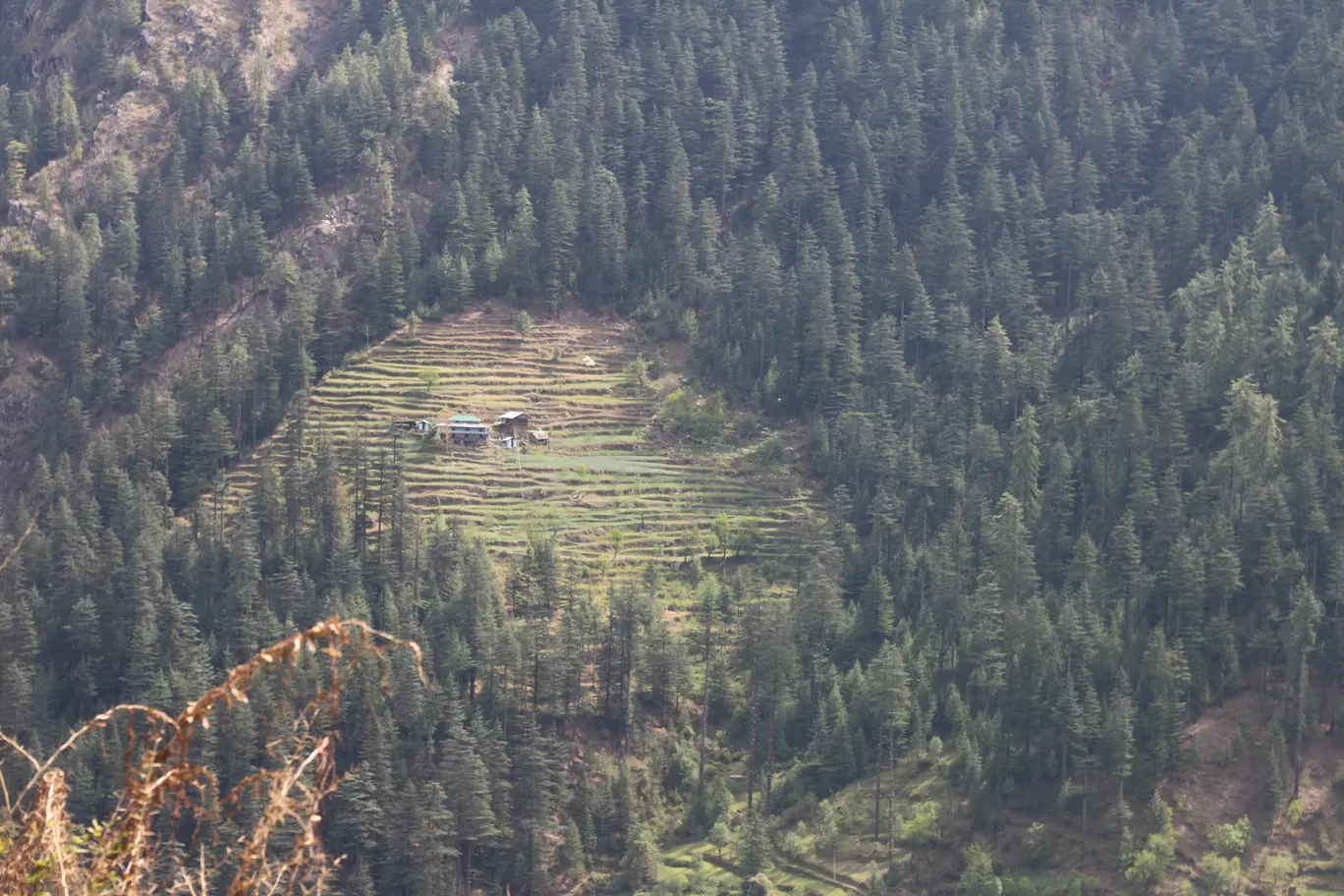 Photo of Tandi By Nisha Verma