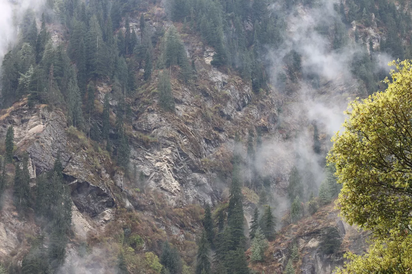 Photo of Tandi By Nisha Verma