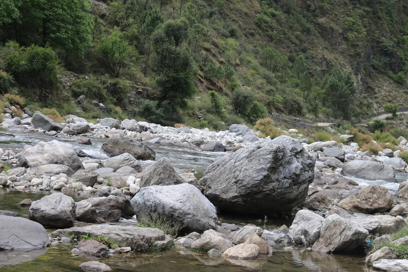 Photo of Tandi By Nisha Verma