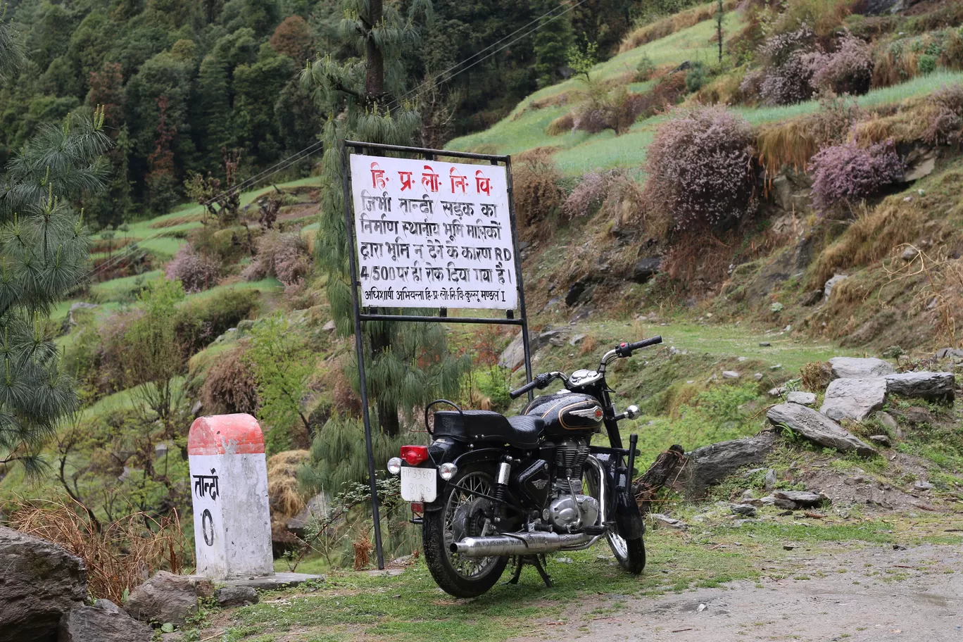 Photo of Tandi By Nisha Verma