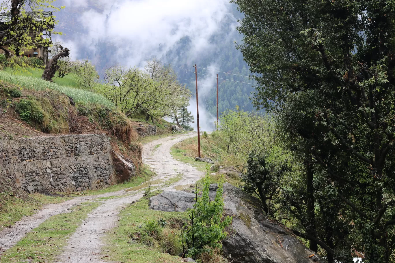 Photo of Tandi By Nisha Verma