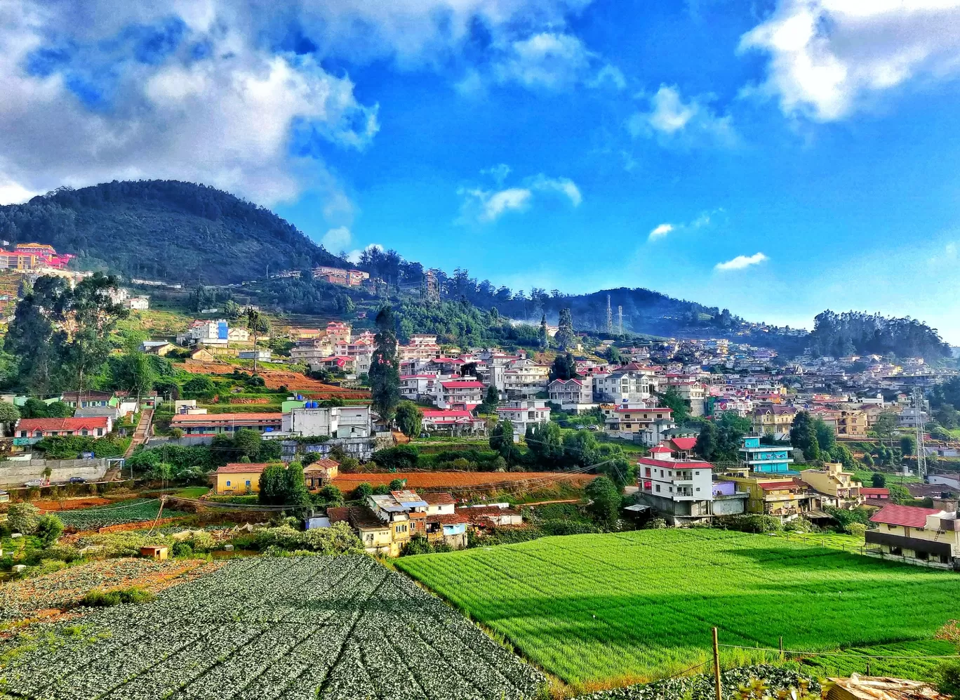 Photo of Ooty By Sunny Vatsyayan