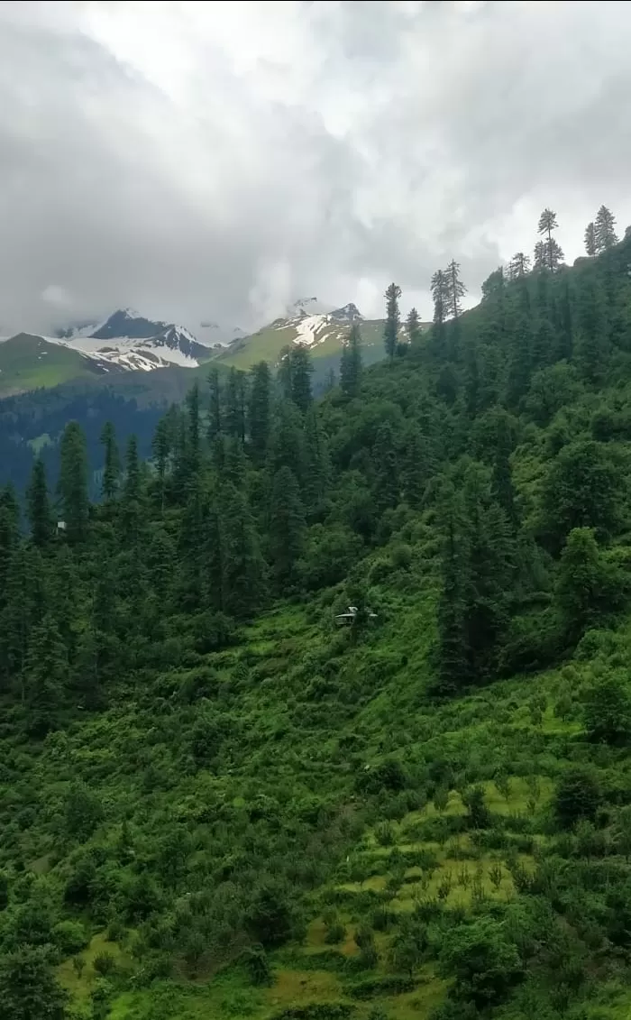 Photo of Tosh By Ayushi Mathur