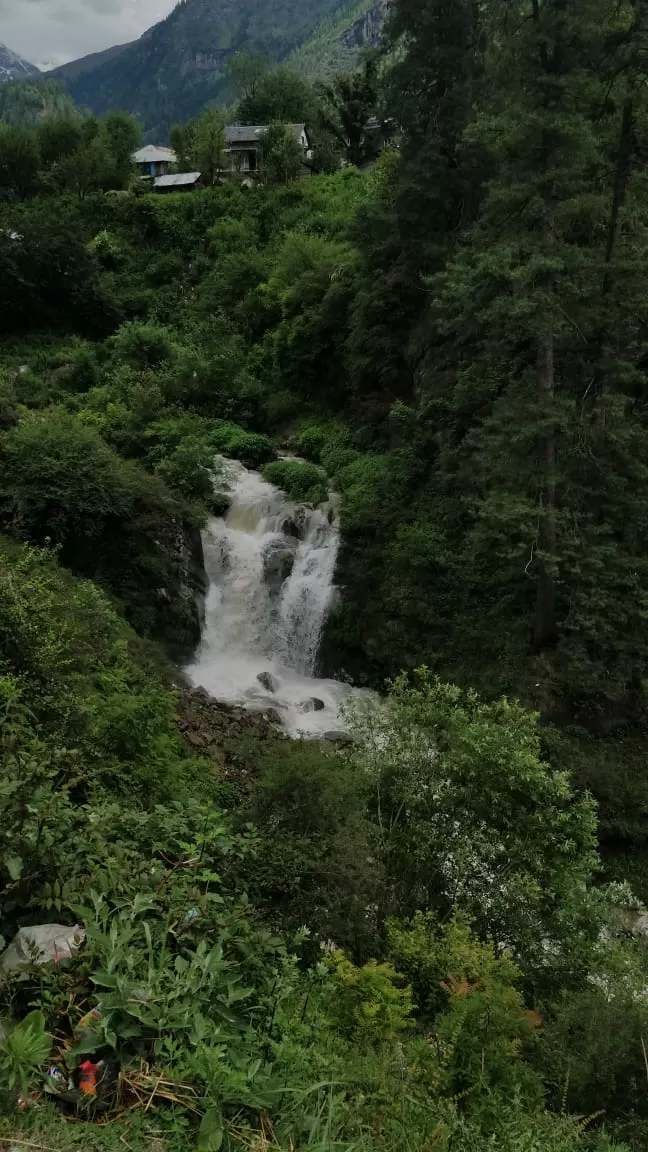 Photo of Tosh By Ayushi Mathur