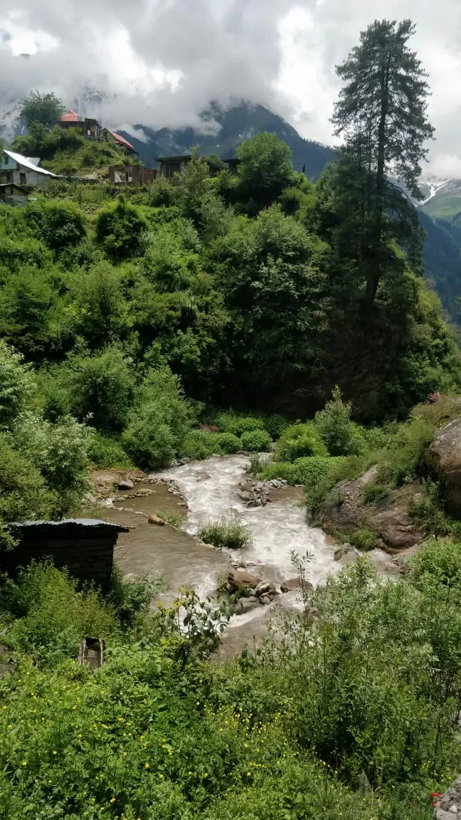 Photo of Tosh By Ayushi Mathur