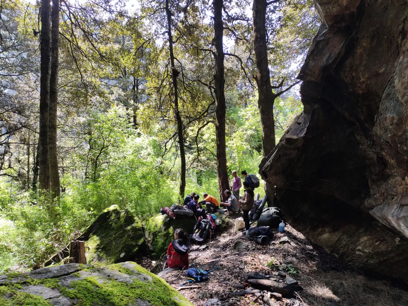 Photo of Great Himalayan National Park By localhippiejibhi 