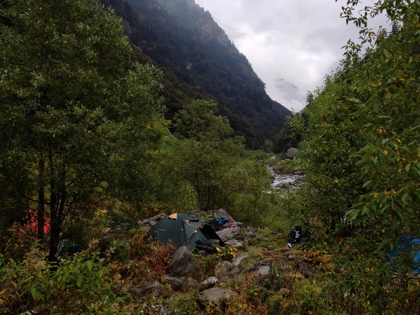 Photo of Great Himalayan National Park By localhippiejibhi 