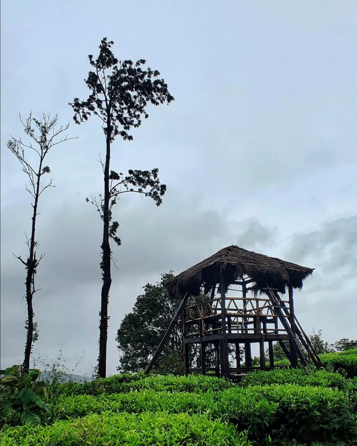 Photo of Zostel Wayanad By Zuhra Siraj