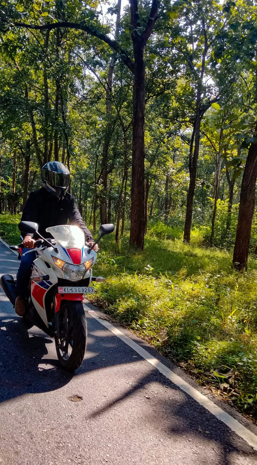 Photo of Bandipur Tiger Reserve And National Park By Mohammed Afzal