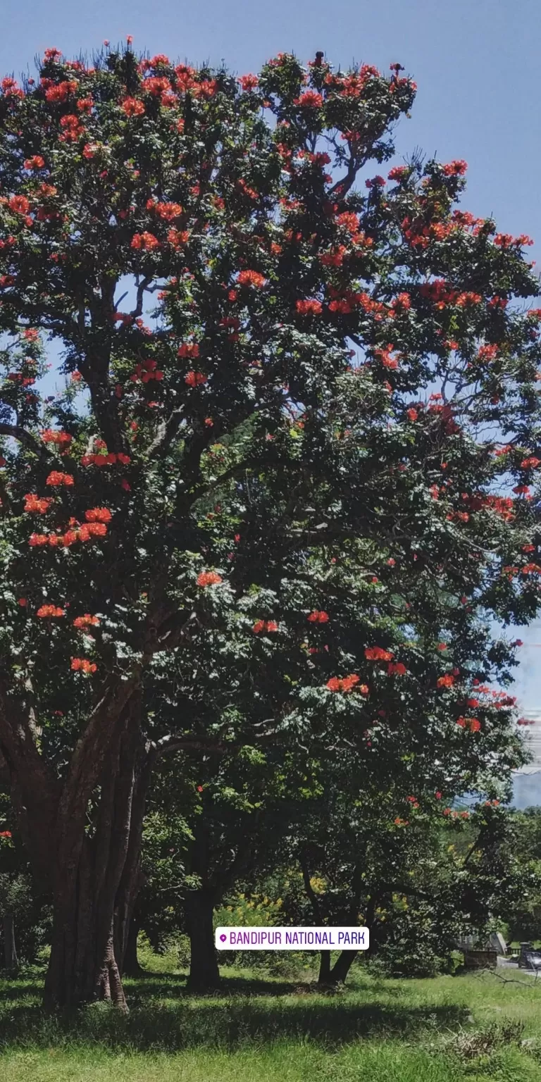 Photo of Banglore - Mysore Road By Govind Krishna