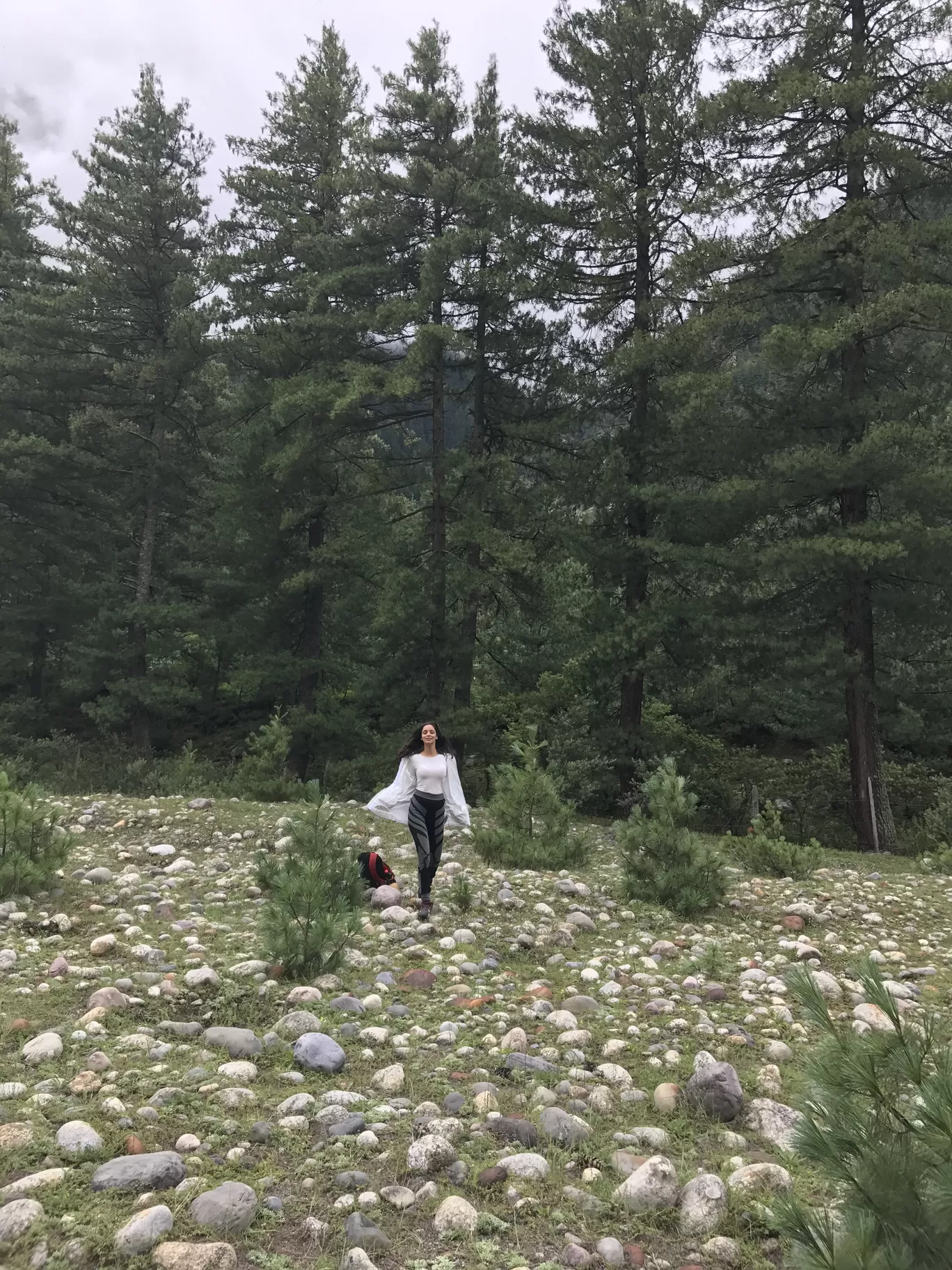 Photo of Sangla By Madhvi Mahajan