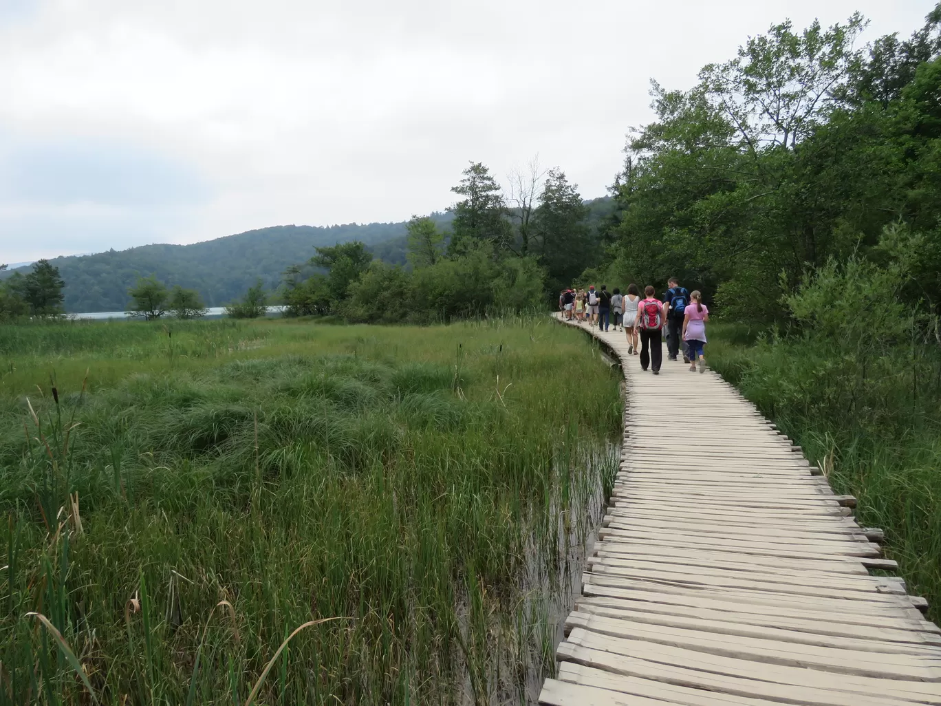 Photo of Plitvice Lakes National Park By Karthik Ramanathan