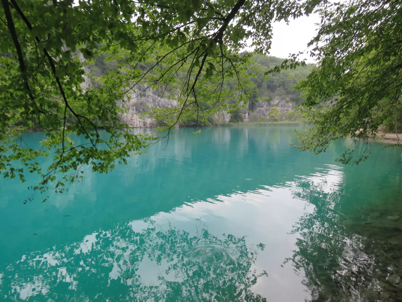 Photo of Plitvice Lakes National Park By Karthik Ramanathan