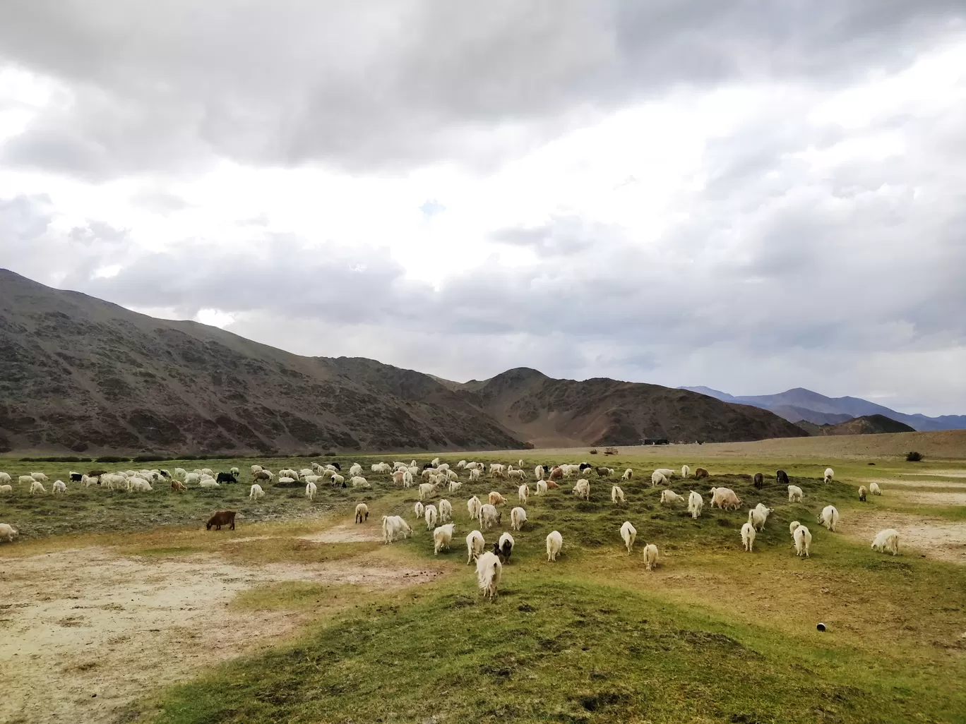 Photo of Ladakh By Yamini Arora