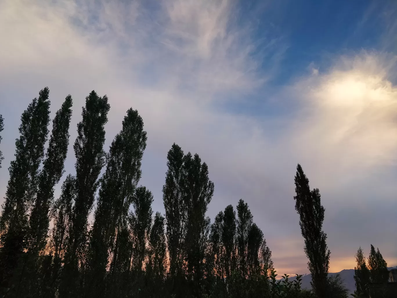 Photo of Ladakh By Yamini Arora