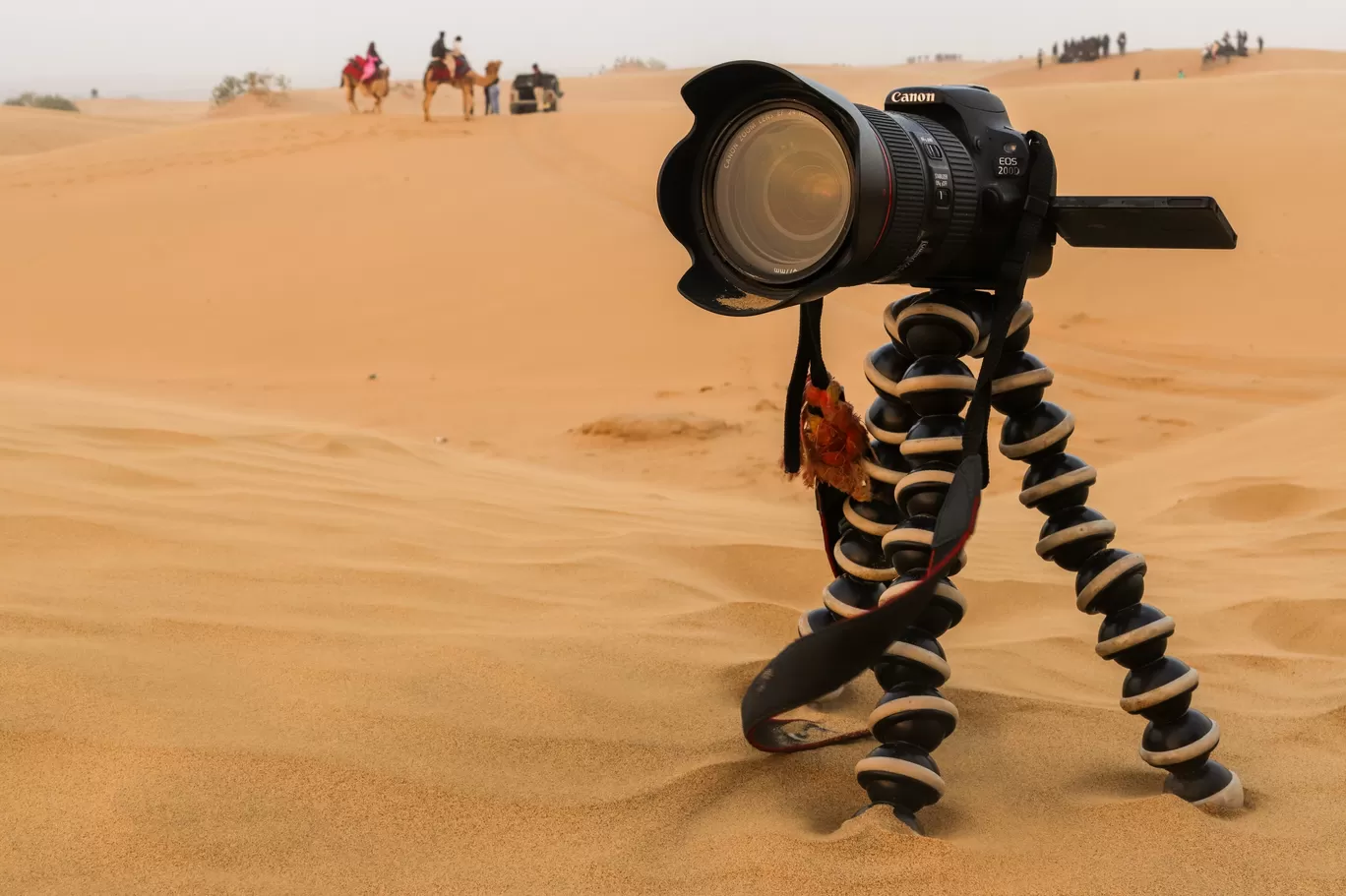 Photo of Rajasthan By Aamir sheikh