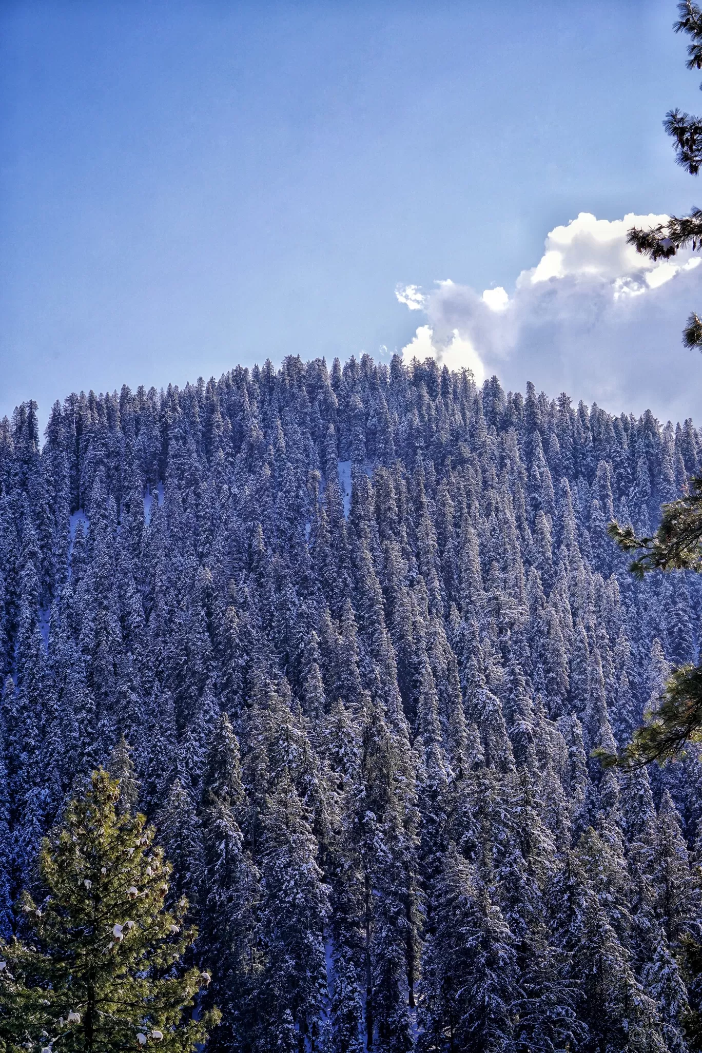 Photo of Narkand By Nazim Raza