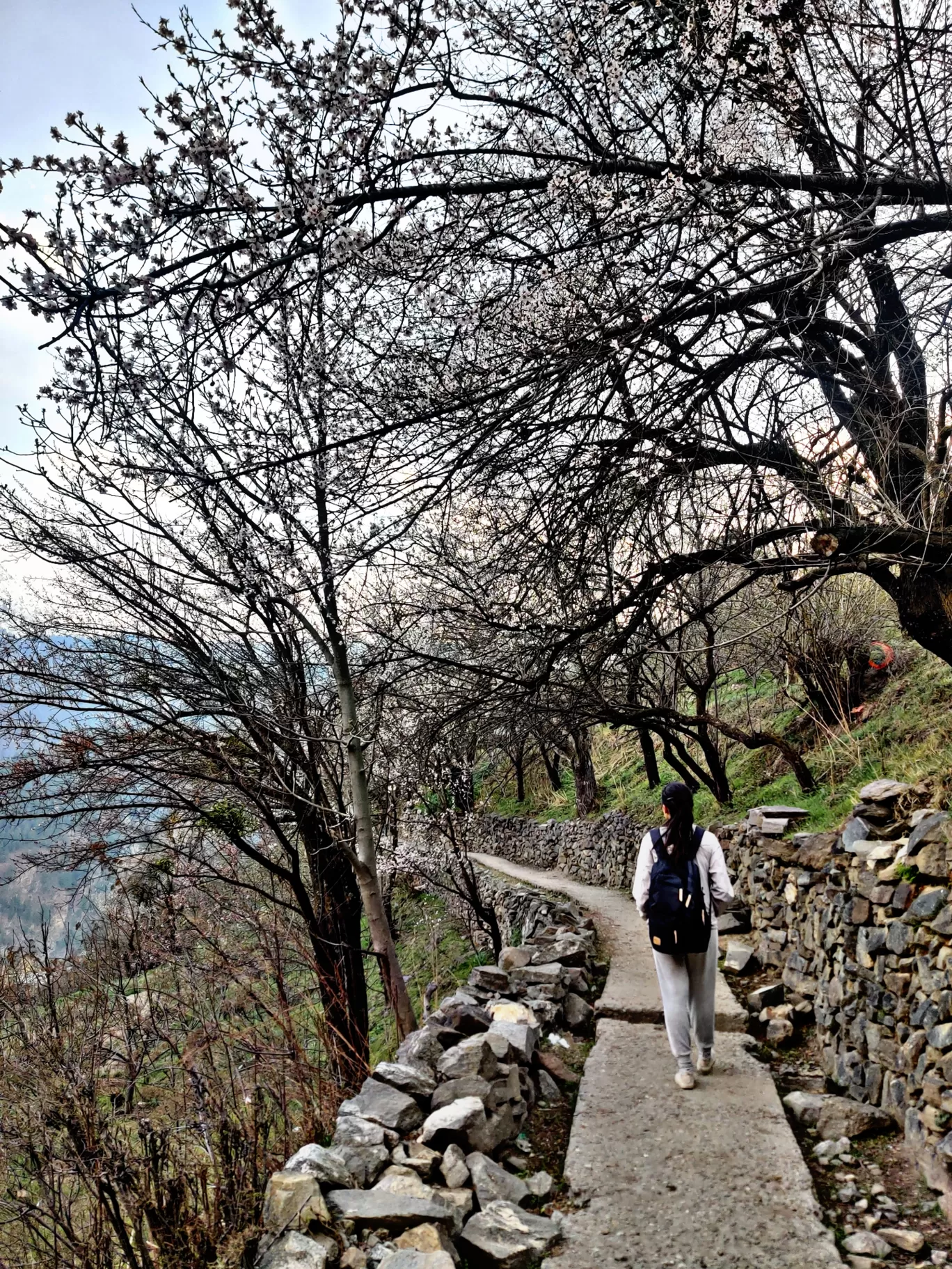 Photo of Kamru Fort By Yogita Rampal