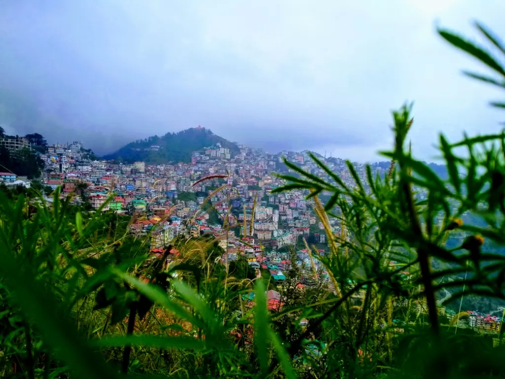 Photo of Shimla By Sakshi Tamrakar