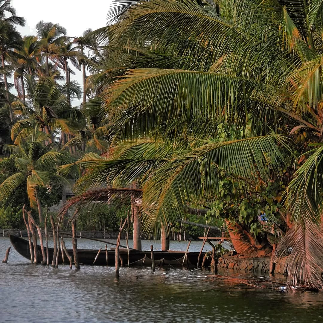 Photo of Kerala By Soumyadip