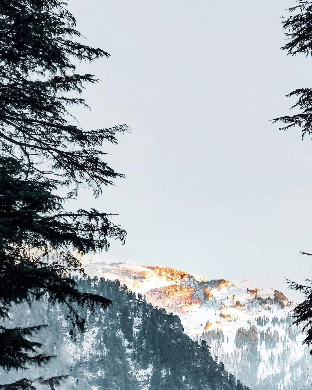 Photo of Himachal Pradesh By Jerin Jackson