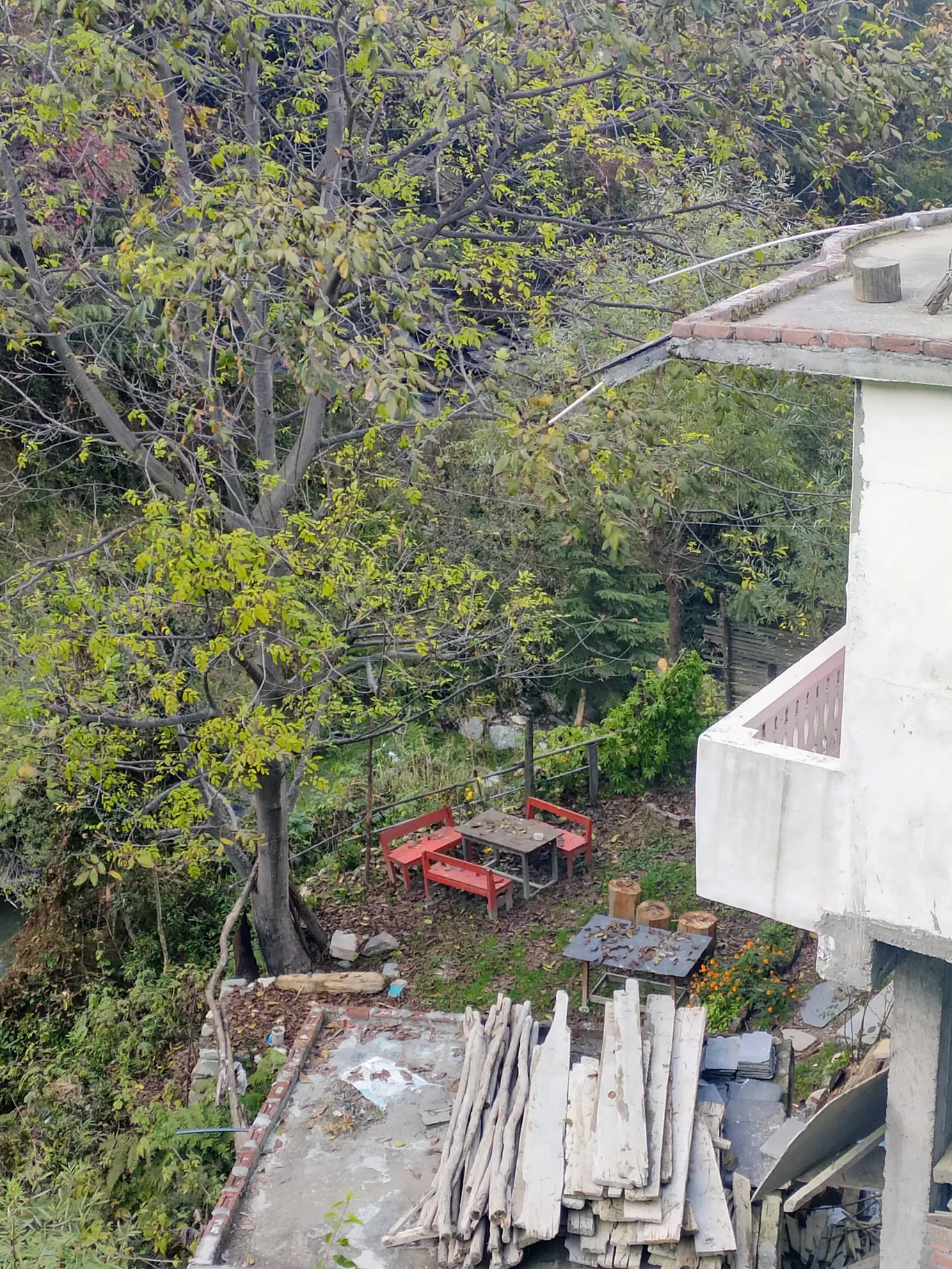 Photo of Jibhi House - Cafe & Cottages By HEMA GURUNG