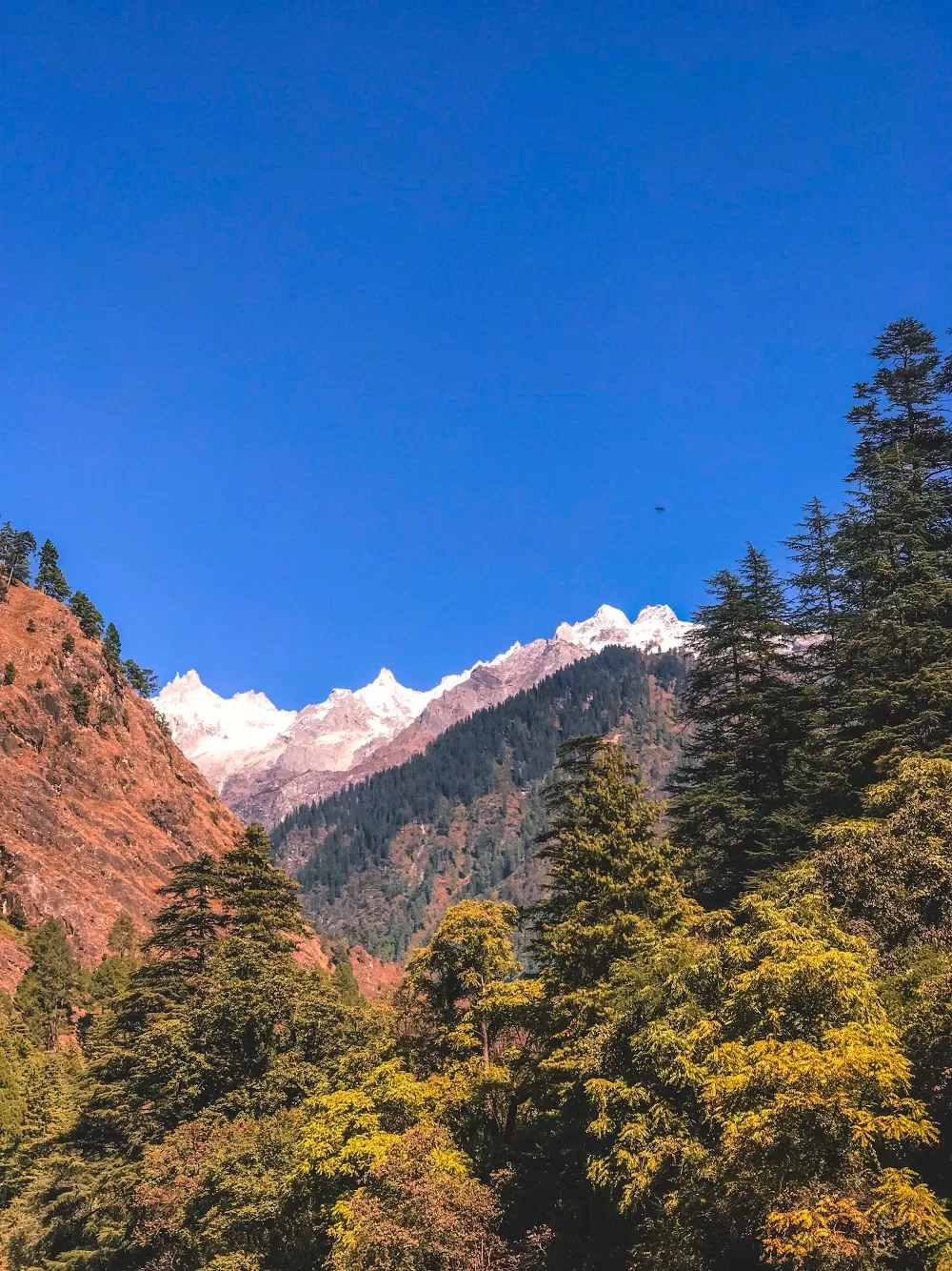 Photo of Himachal Pradesh By Niket Palkar