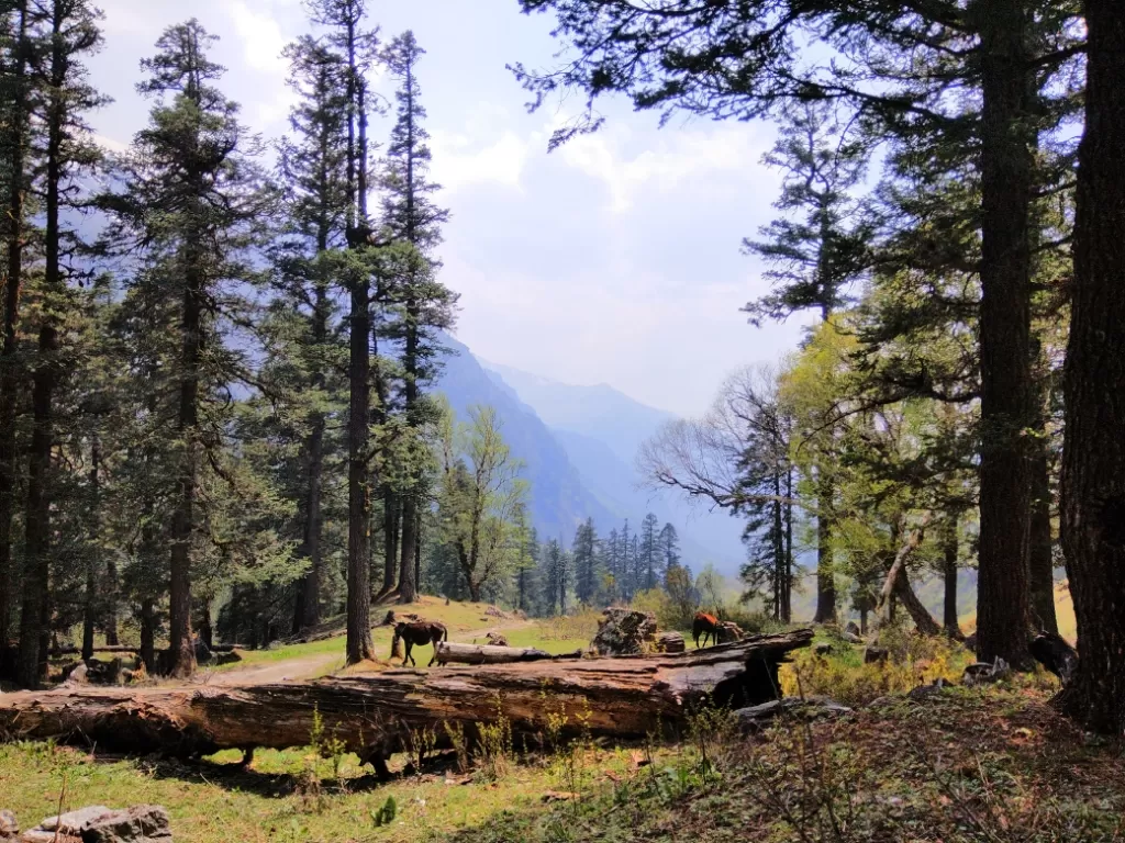 Photo of Uttarakhand By Varun Shah