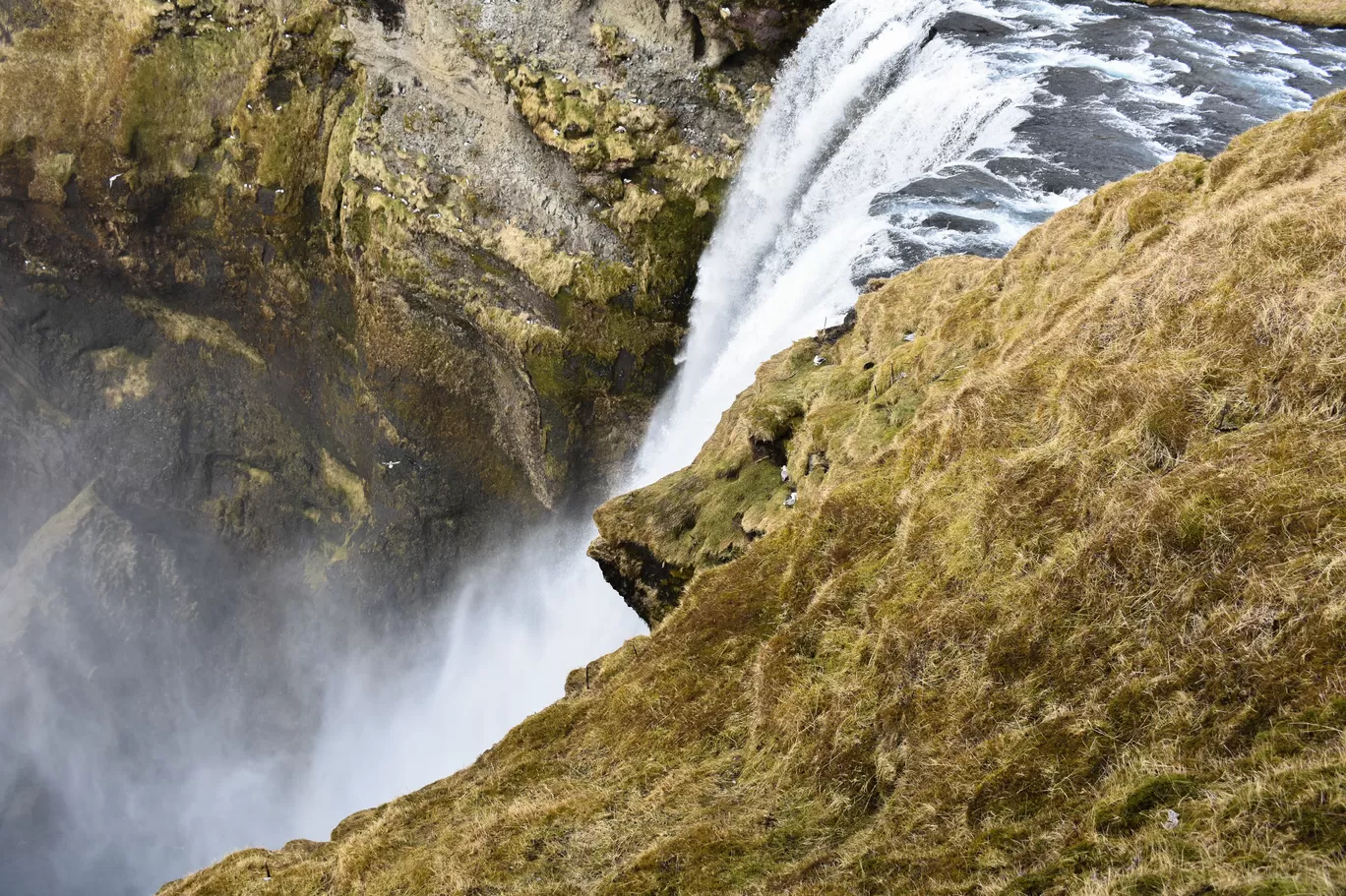 Photo of Iceland By Naman_kumar