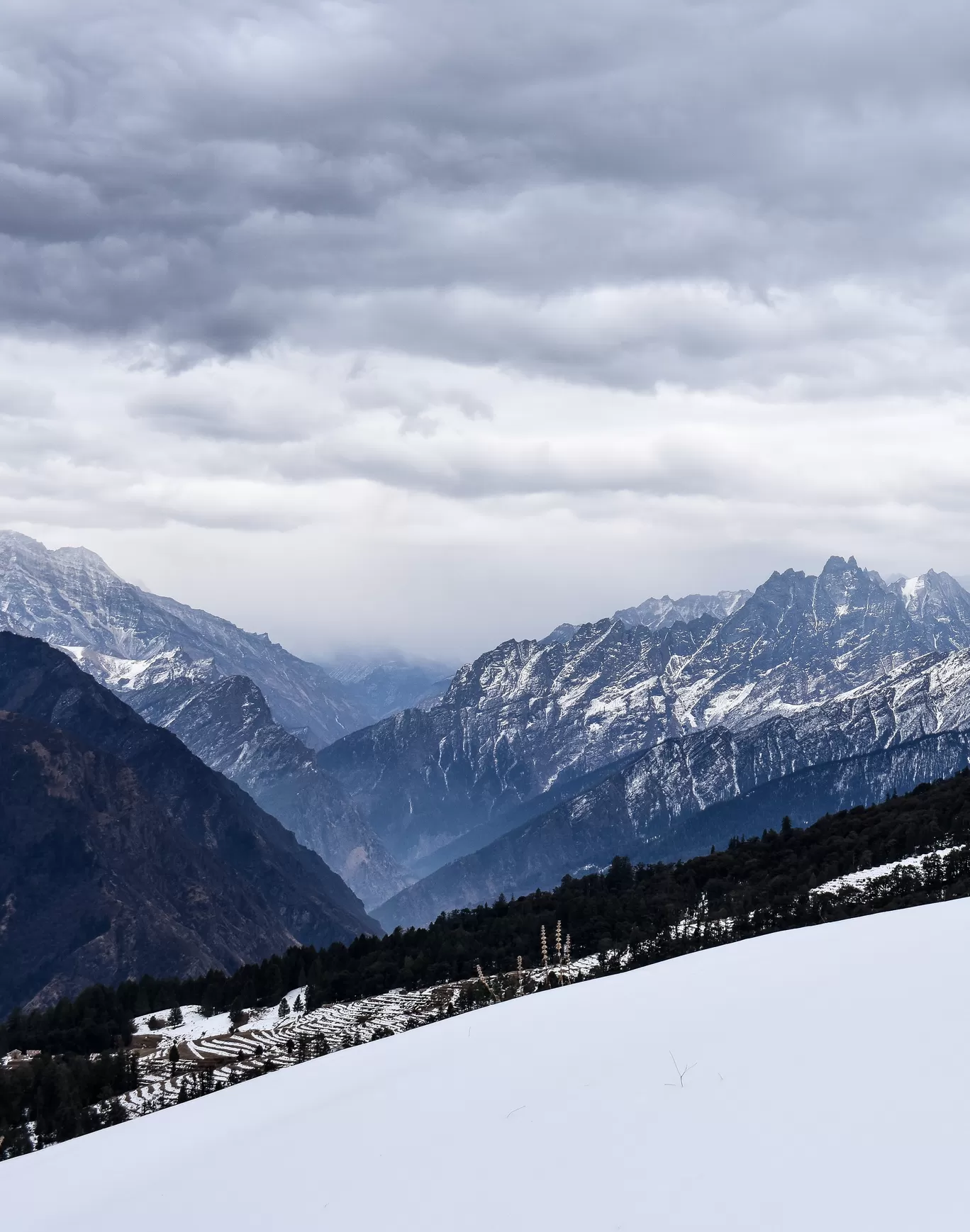 Photo of Auli By Naman_kumar