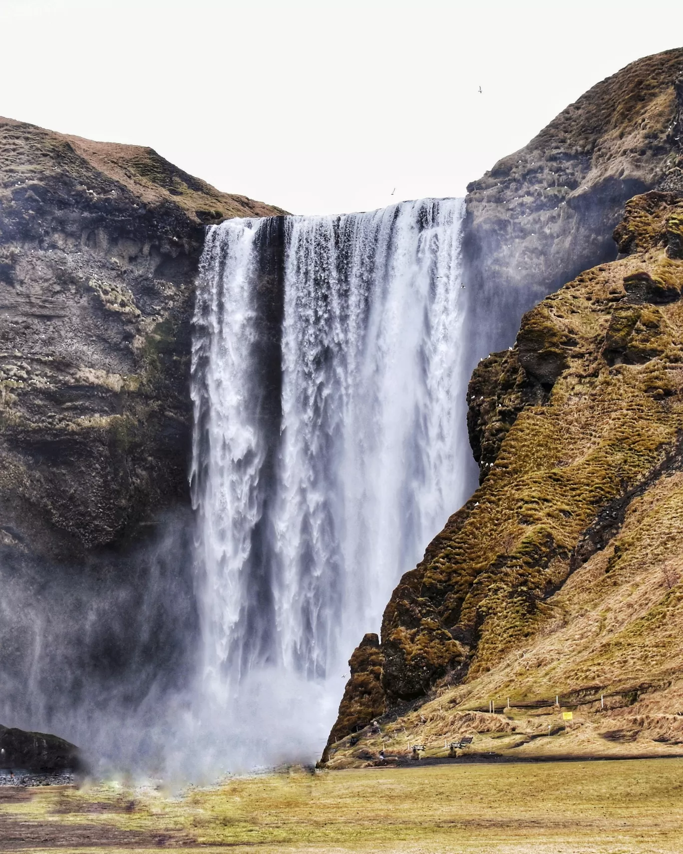 Photo of Iceland By Naman_kumar